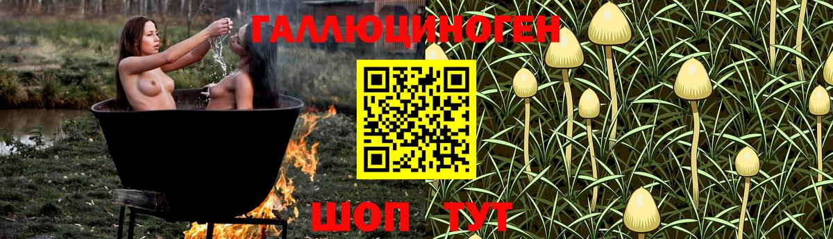 Галлюциногенные грибы ЛСД Йошкар-Ола