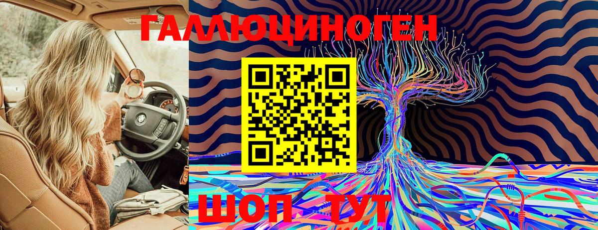 Псилоцибиновые грибы мухоморы  Галлюциногенные грибы Magic Shrooms  где можно купить   Вход с VPN  Йошкар-Ола 